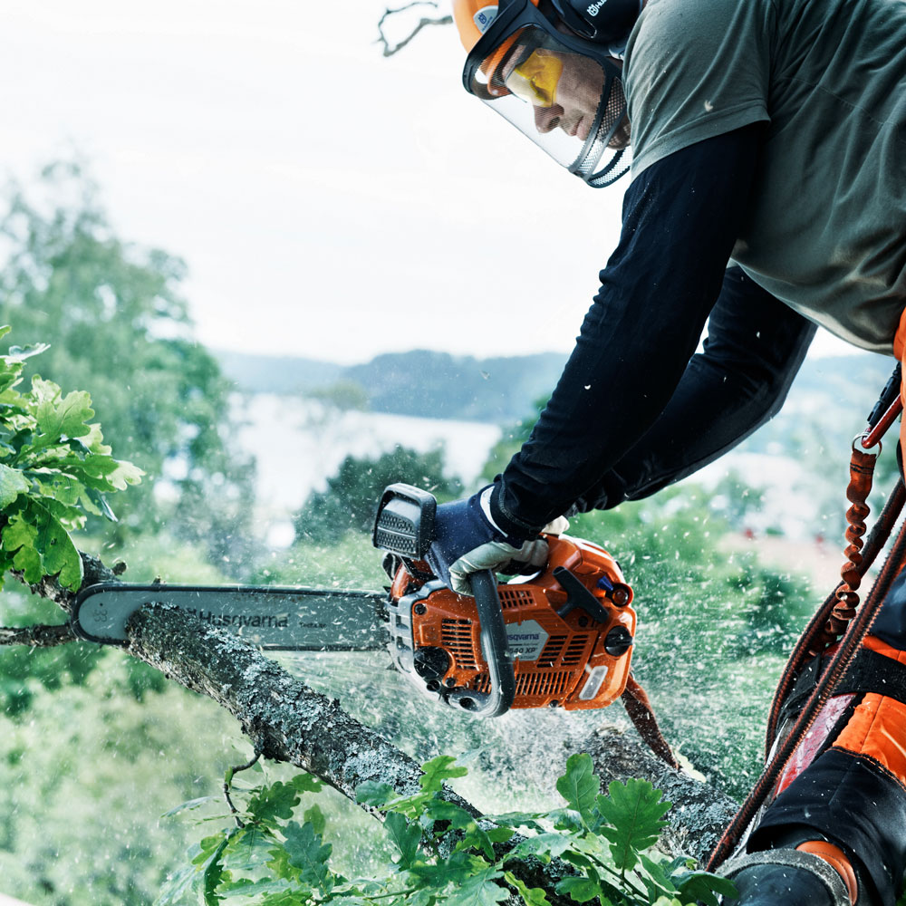 Produktabbildung: Husqvarna - T540 XP® Mark II (12 Zoll)