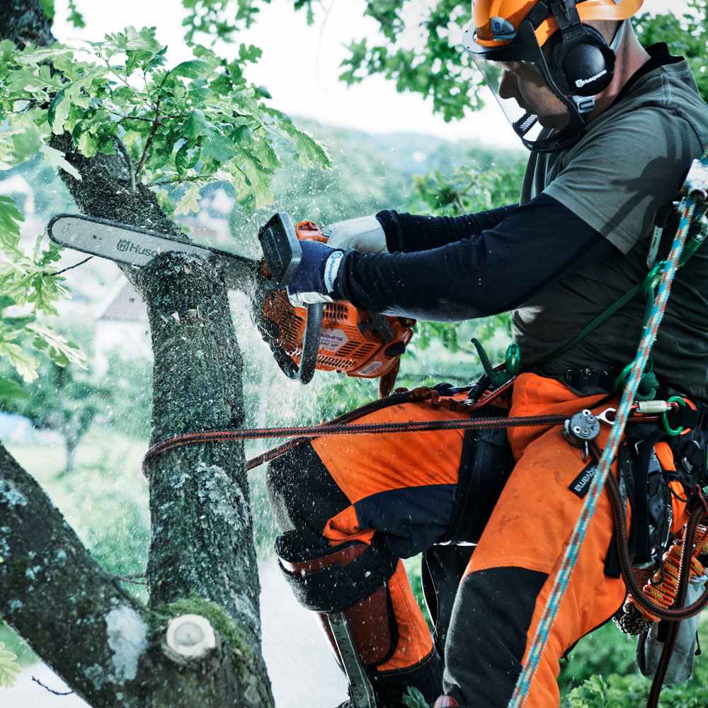 Produktabbildung: Husqvarna - T540 XP® Mark II (12 Zoll)